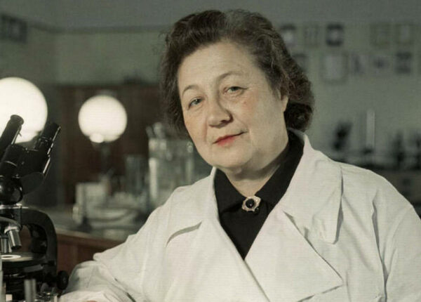 Как советская ученая Зинаида Ермольева спасла Сталинград от холеры и создала свой пенициллин