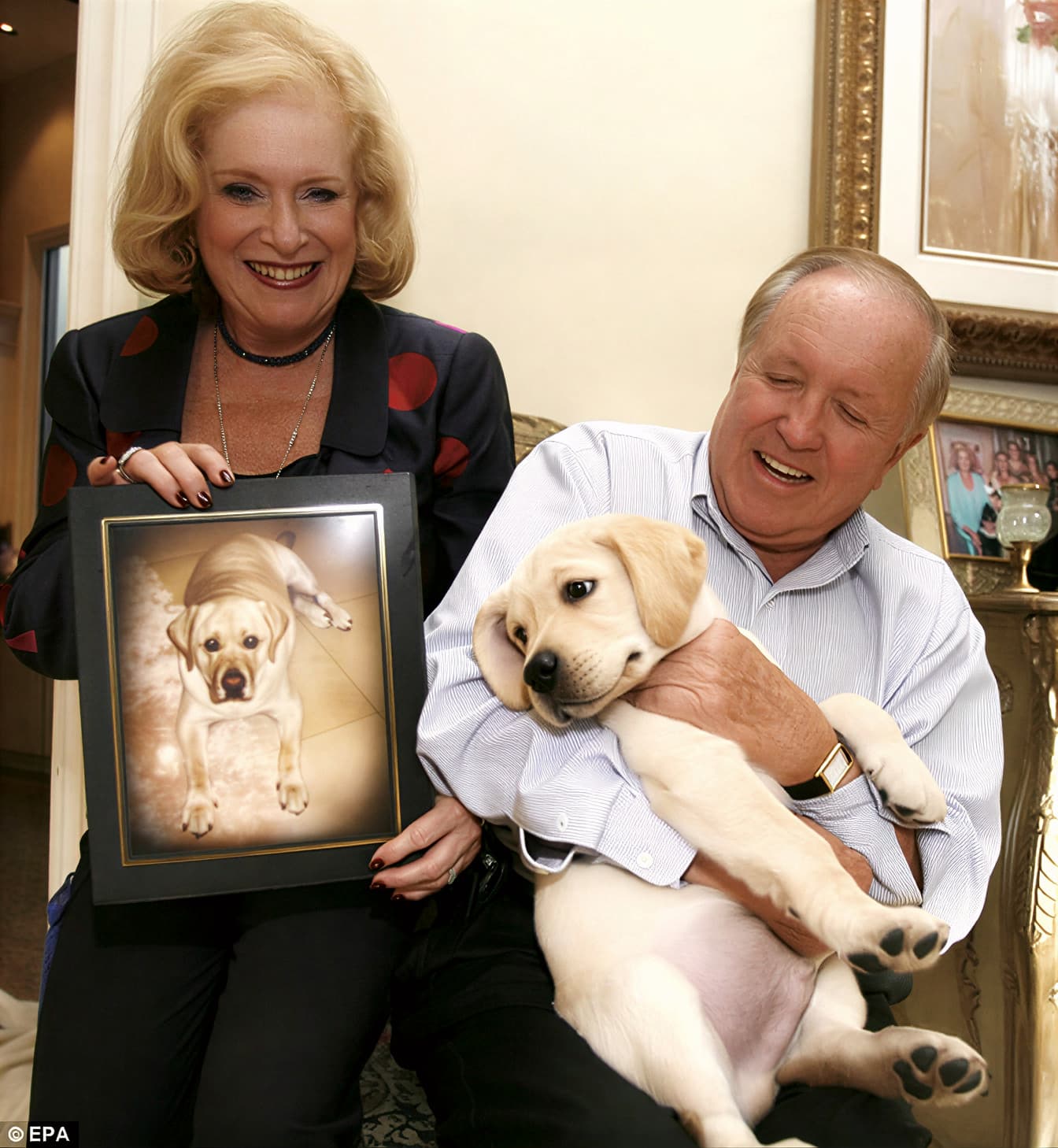 Пожилая женщина держит на руках клонированного щенка лабрадора