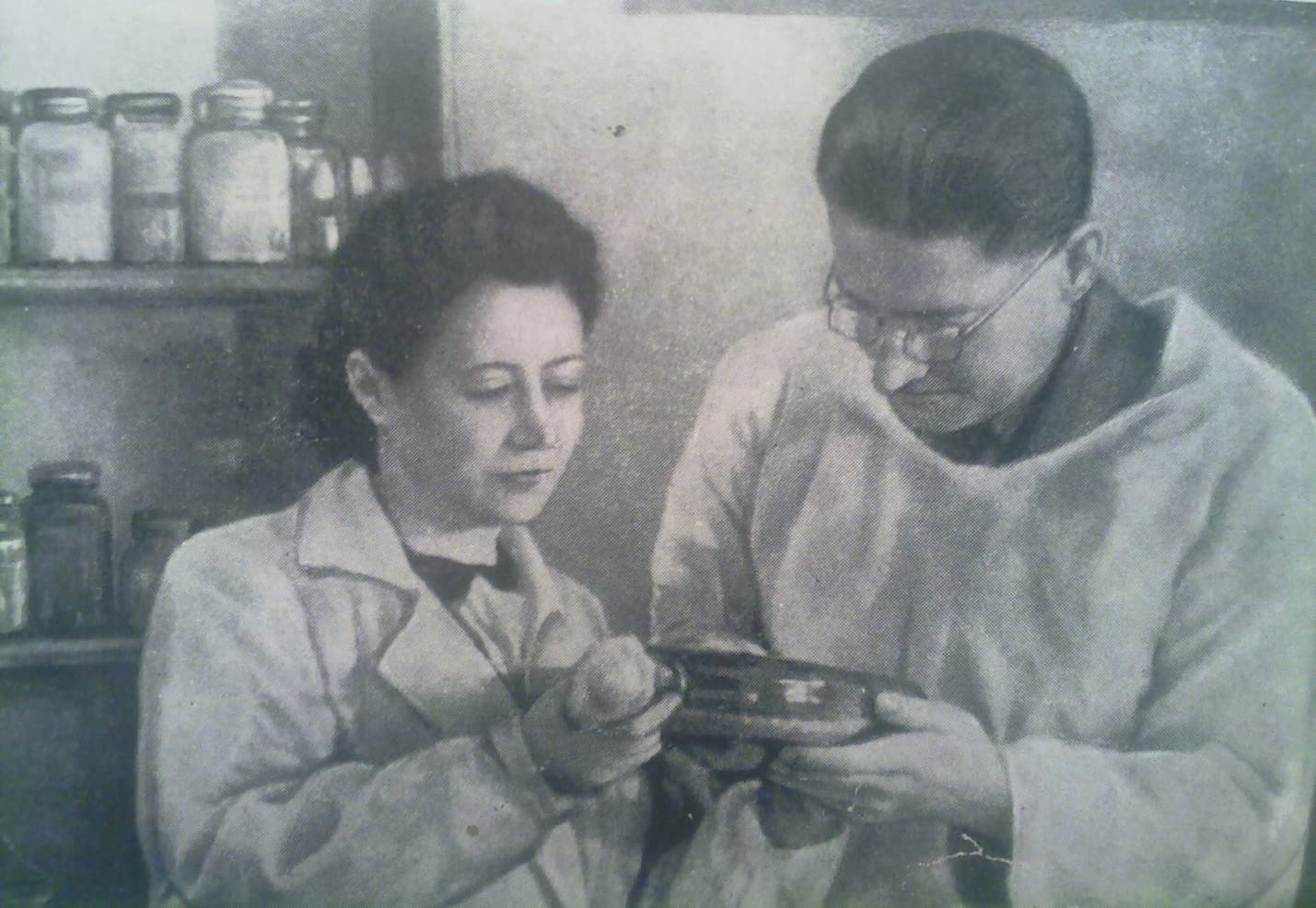 Зинаида Ермольева в лаборатории 1930-е годы советский микробиолог работа