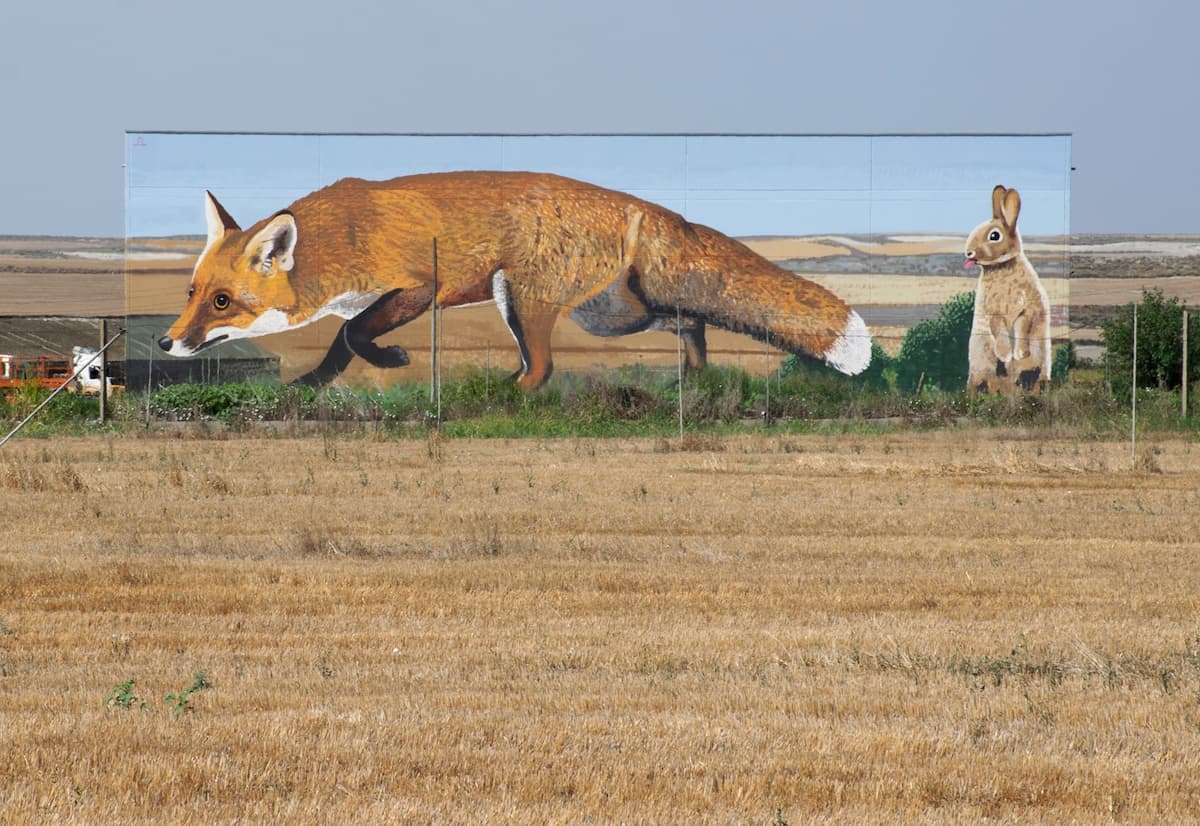 Мурал Ориола Аруми с лисой и зайцем на стене здания в каталонском поле