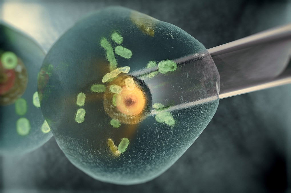 Учёный в лаборатории работает с оборудованием для клонирования