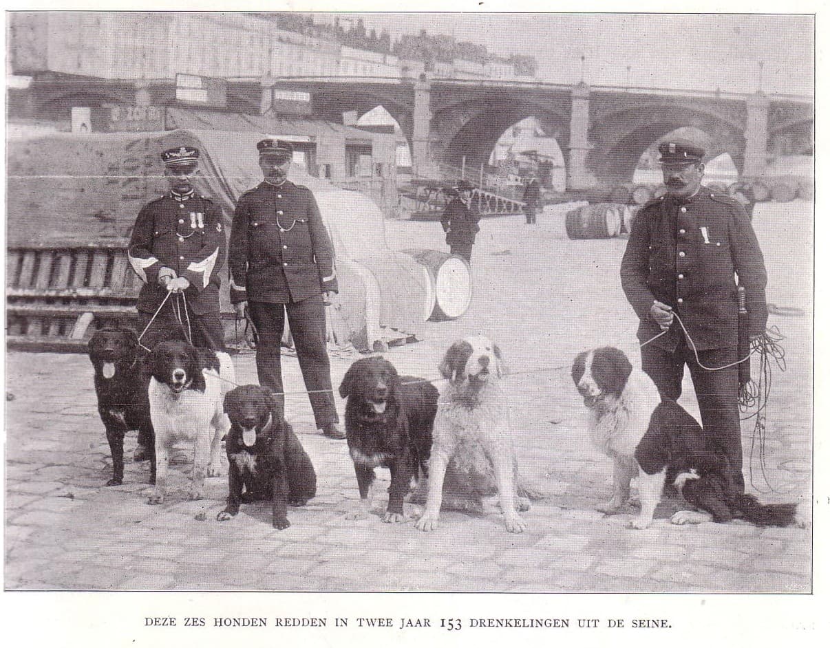 Полицейский питомник служебных собак в Германии конец XIX века