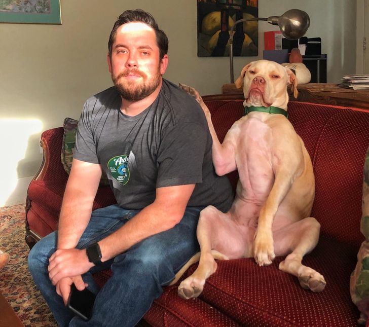 Парень сидит рядом с питбулем на диване, оба выглядят максимально расслабленными