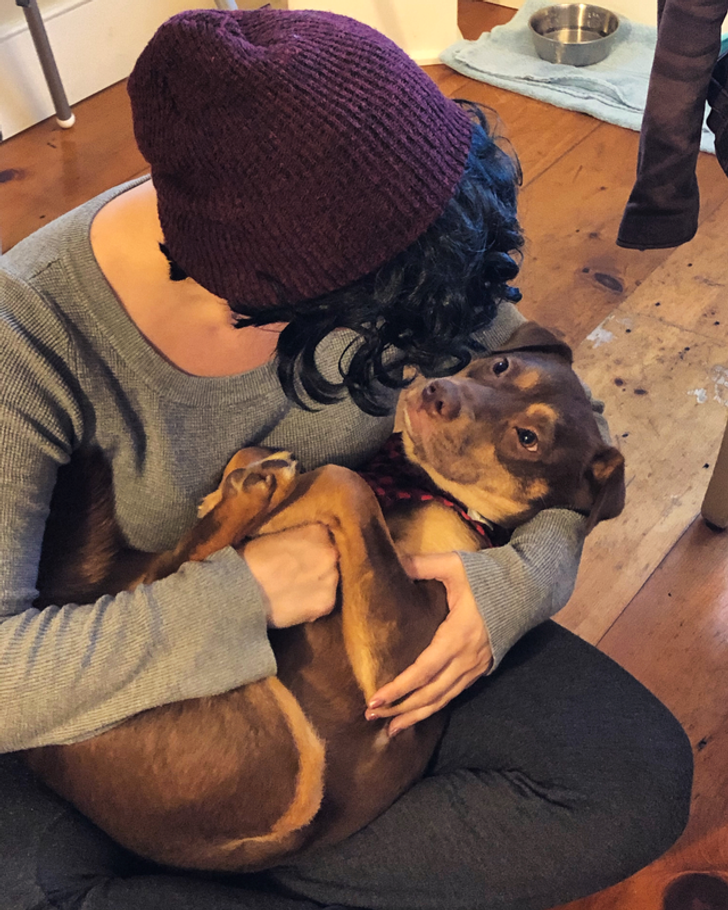 Девушка держит на руках большого пса как ребёнка