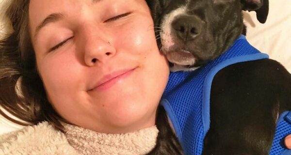 Смешные собаки: 22 фото, после которых захочется завести пса прямо сейчас