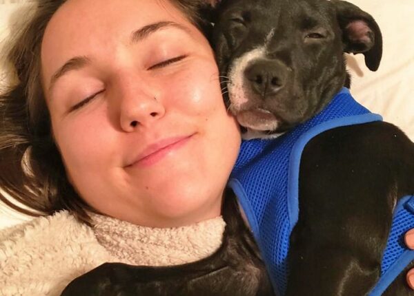 Смешные собаки: 22 фото, после которых захочется завести пса прямо сейчас