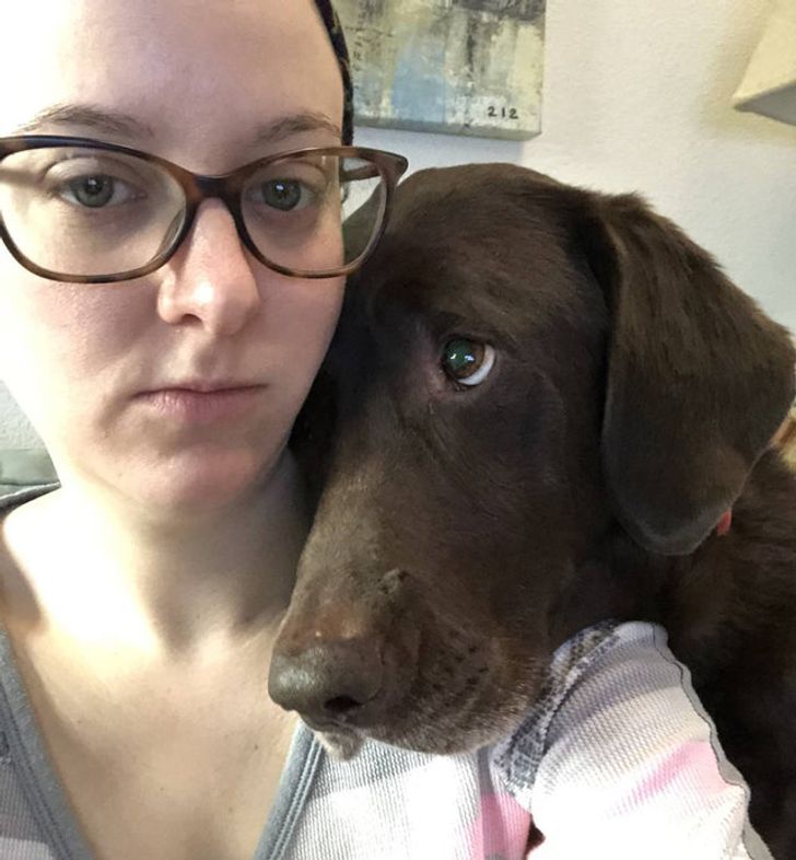 Девушка в очках обнимает щенка шоколадного лабрадора