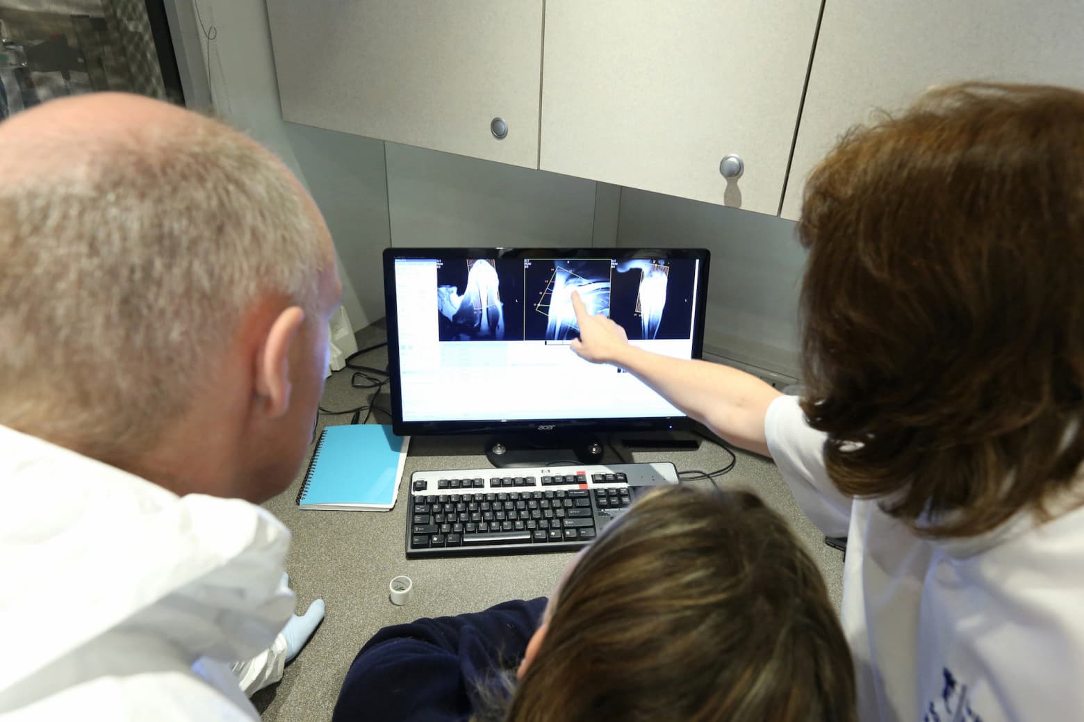 Учёные проводят МРТ-обследование одной из клонированных овец в лаборатории