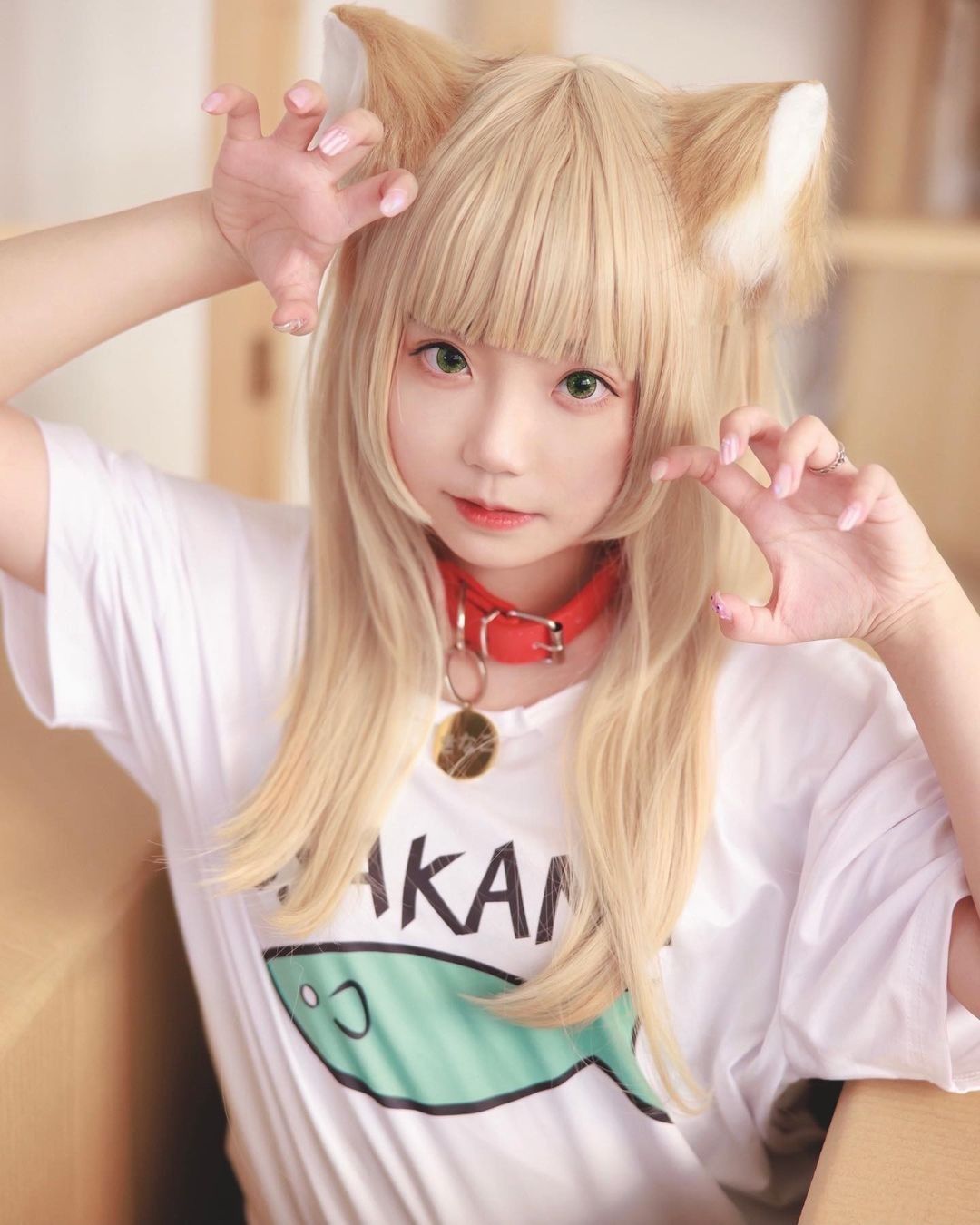 Японская девушка в кошачьих ушках празднует День кошки 22 февраля в Токио