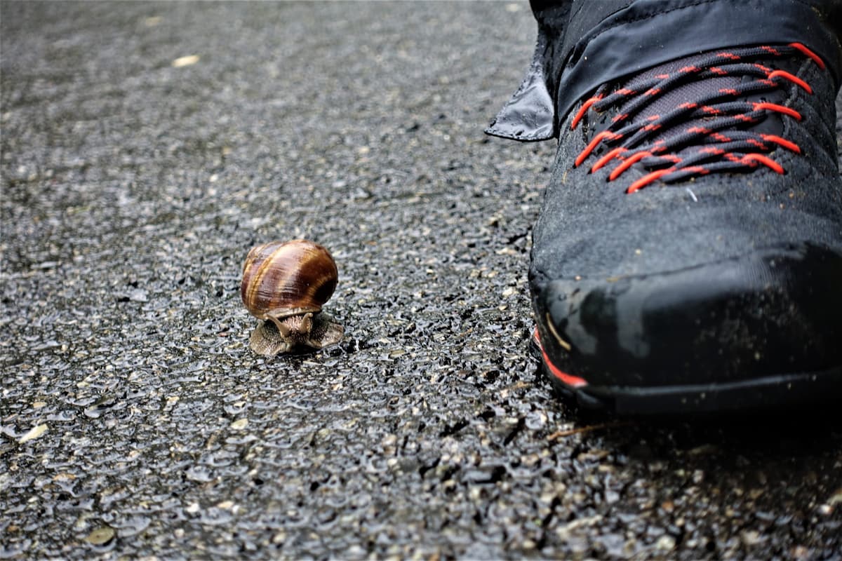 Участники Медлительного марафона в Риме во Всемирный день неторопливости, идущие очень медленно по городской улице