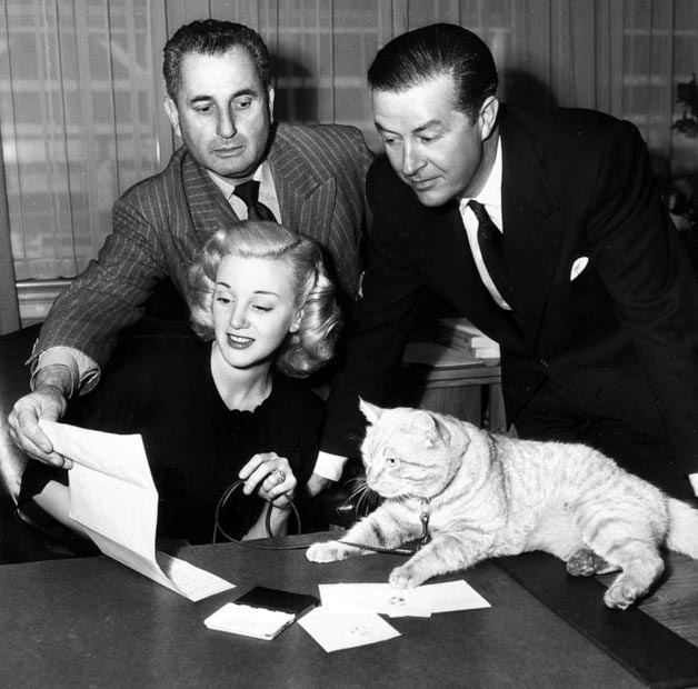 Кот Оранджи — полноценный член съёмочной группы с персональным дрессировщиком