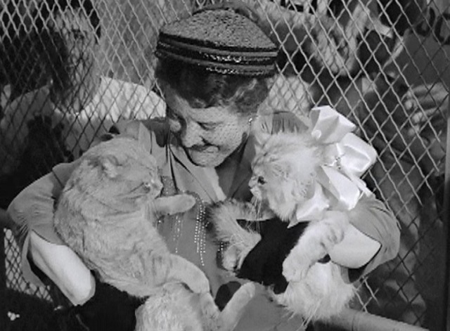 Кот Оранджи в кадре из фильма «Ревень» 1951 года