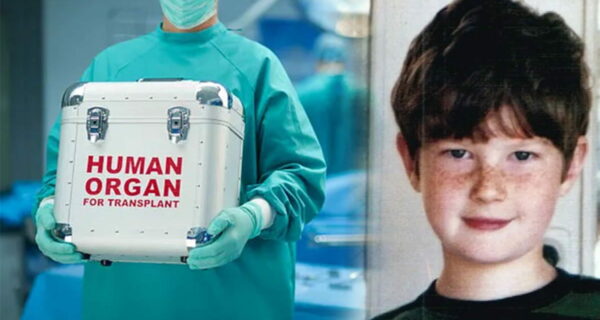 Эффект Николаса: как гибель 7-летнего американца изменила отношение к донорству в целой стране