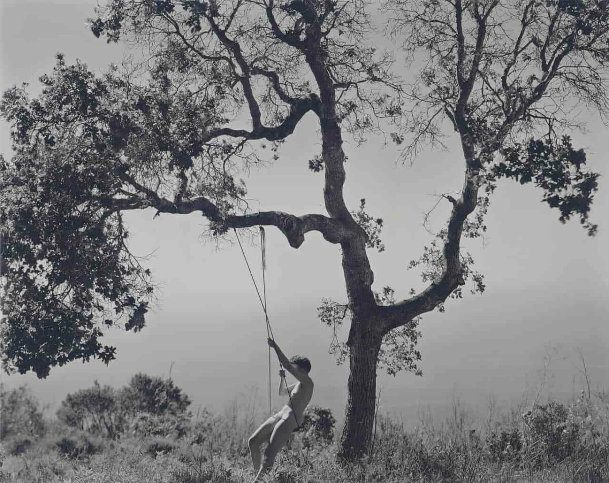 Зимняя идиллия. Эдвард Уэстон, 1945 год