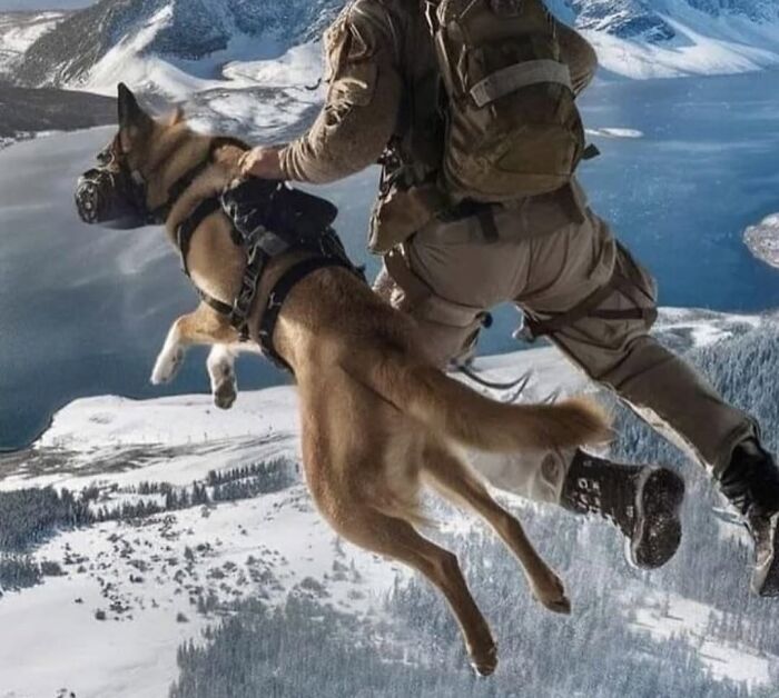 Боец спецназа в маске держит служебную овчарку в прыжке с парашютом над горным ландшафтом