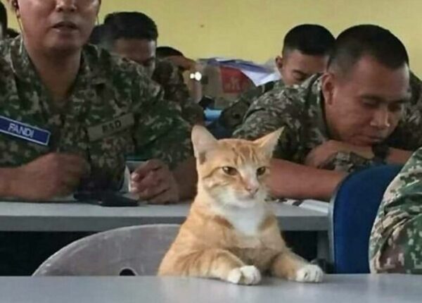 Готовьтесь удивляться! 22 удивительных фото и факта из сети