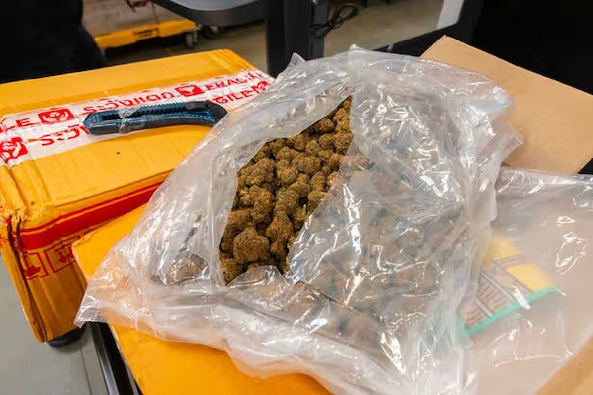 Пакет с каннабисом взрезан