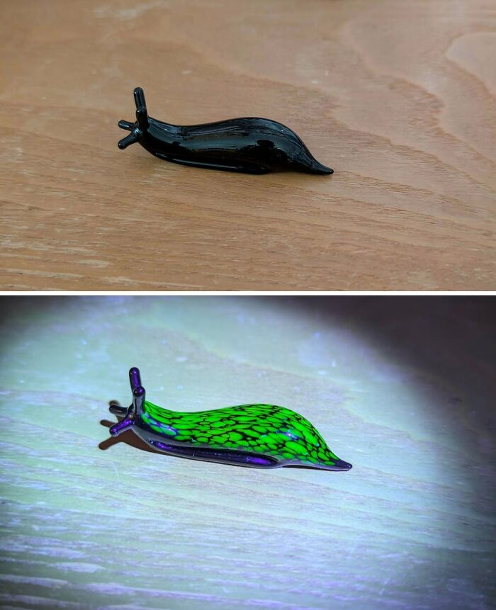 Стеклянная улитка чёрная и светящаяся зелёным под лампой
