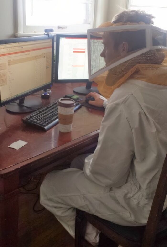 Мужчина в полном костюме пчеловода работает за компьютером