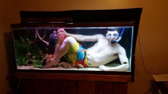 Мужчина в маске и цветных шортах лежит внутри аквариума с черепахой