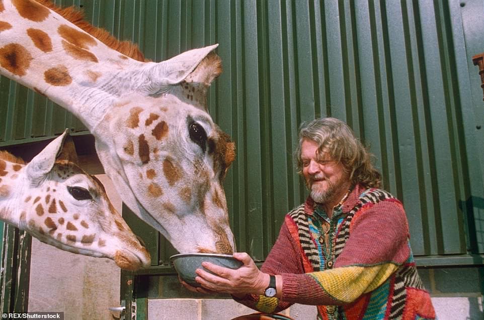 Маркиз Батский Александр Тинн кормит жирафа в сафари-парке Лонглит, продолжая дело своего отца