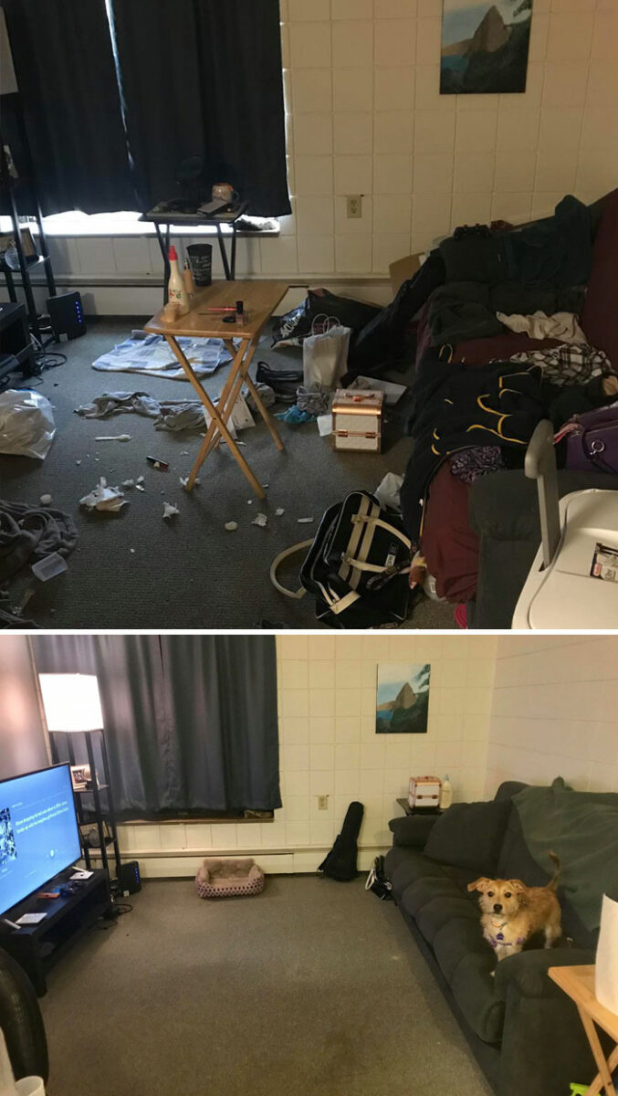 Депрессивное гнездо: комната до генеральной уборки