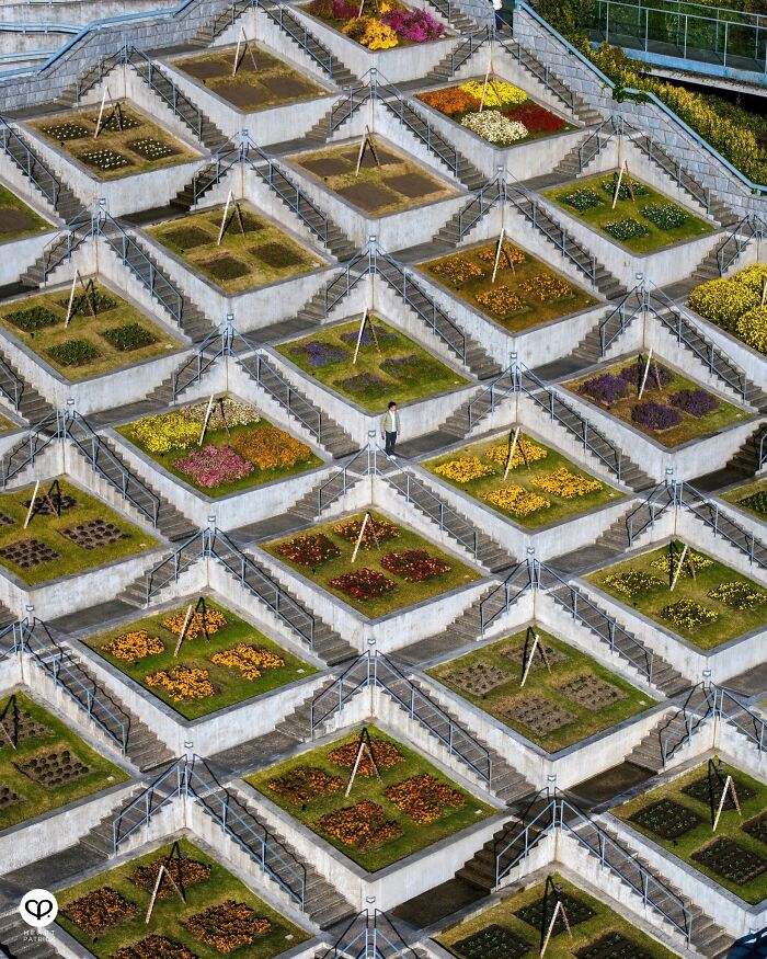 Запутанная лестница