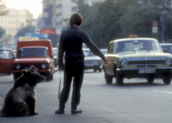 Зелёный огонёк: история советского такси от НЭПа до перестройки