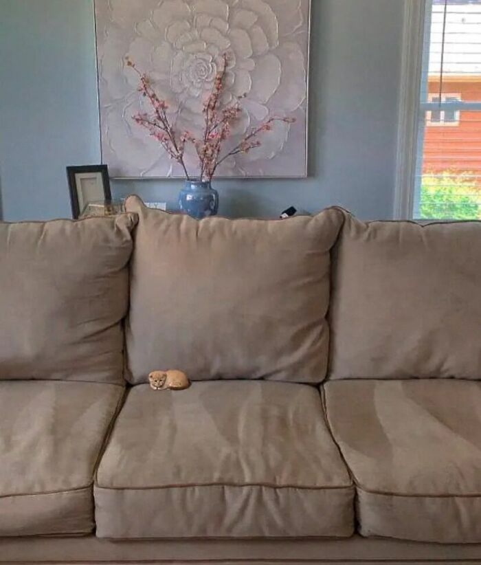 Маленький рыжий котёнок лежит на диванной подушке