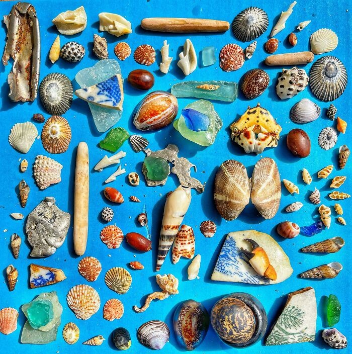 Коллекция ракушек, камушков и обломков кораллов