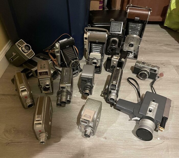 Разнообразные старые фотоаппараты и кинокамеры разложены на полу комнаты