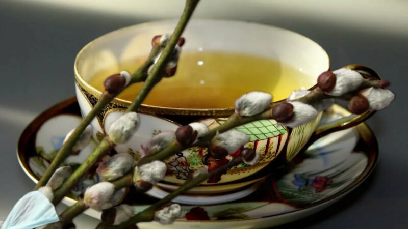 Засушенная кора вербы и травяной чай в глиняной чашке &mdash; народная медицина