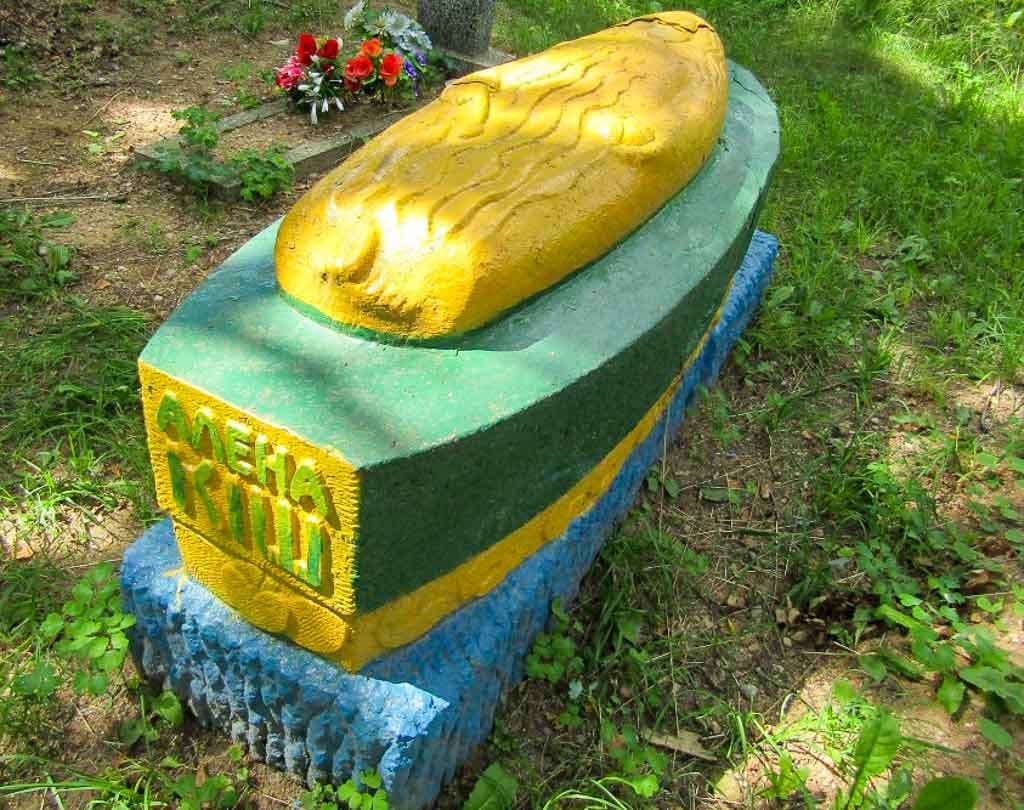 Могила Алёны Киш на кладбище деревни Грозово