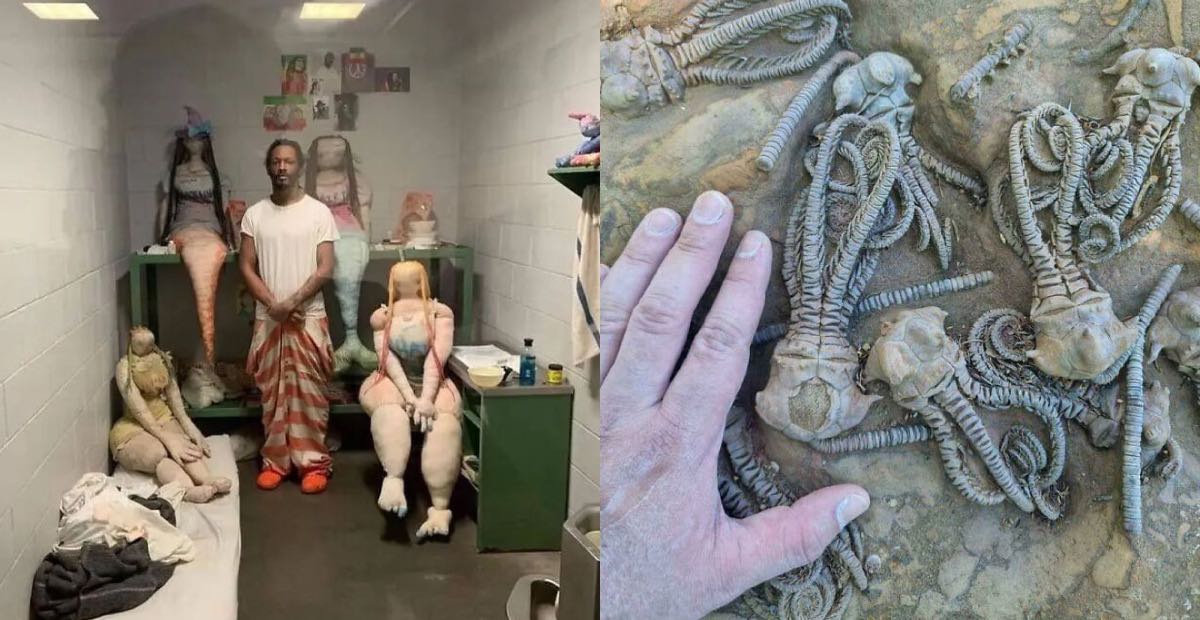 Bigpicture ru коллаж 1