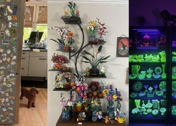 Что собирают люди: 22 фото самых необычных коллекций, от которых у вас отвиснет челюсть