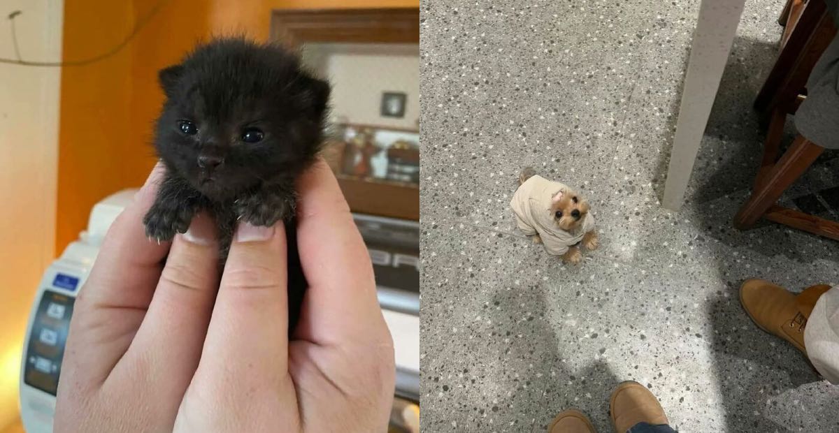 Bigpicture ru коллаж