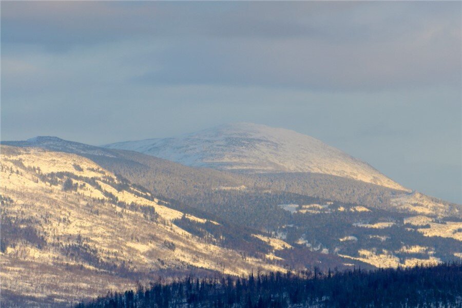 Глубокие сугробы и заснеженные верхушки сосен на фоне бледно-голубого мартовского неба в Кутурчинском Белогорье