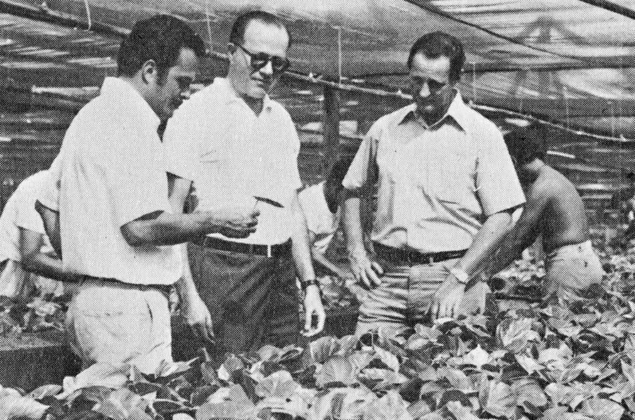 Генеральный директор United Brands Эли Блэк (в центре). Незадолго до своей гибели