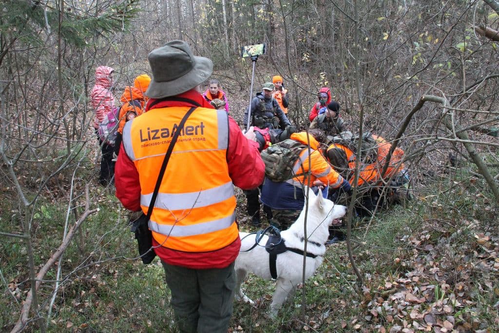 Группа волонтёров ЛизаАлерт в лесу: одни держат флаги отряда, другие смотрят в карту и навигатор