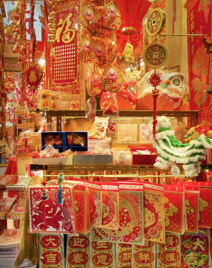 Рыжий кот лежит среди красных китайских сувениров