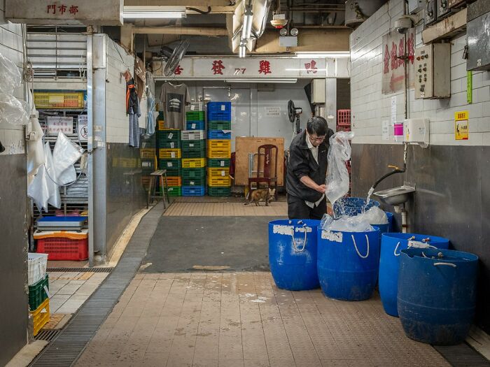 Мужчина в чёрной куртке у синих бочек и кот в глубине помещения где-то в Гонконге