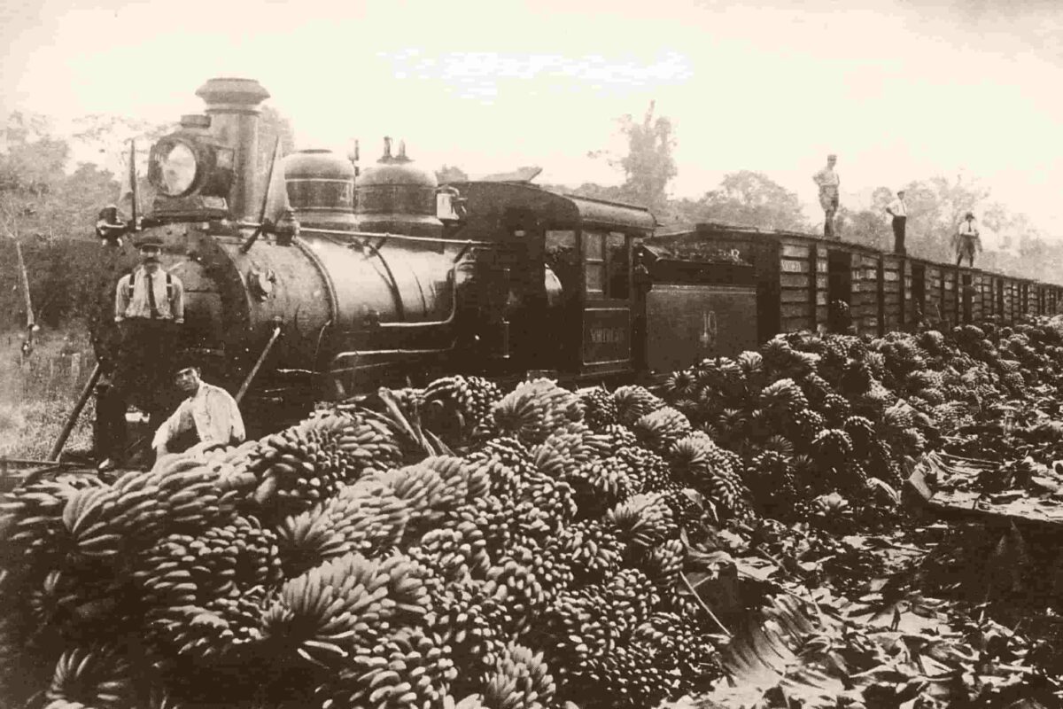 Погрузка бананов в железнодорожные вагоны на плантации в Коста-Рике. 1900-е годы