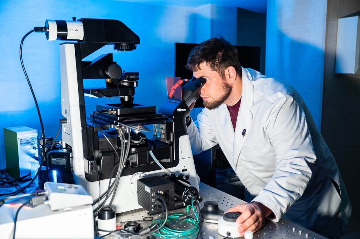 Наночастицы золота в онкологии &mdash; доставка лекарств к опухоли и диагностика рака