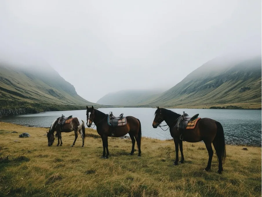 Biografiya diany berberashvili 4