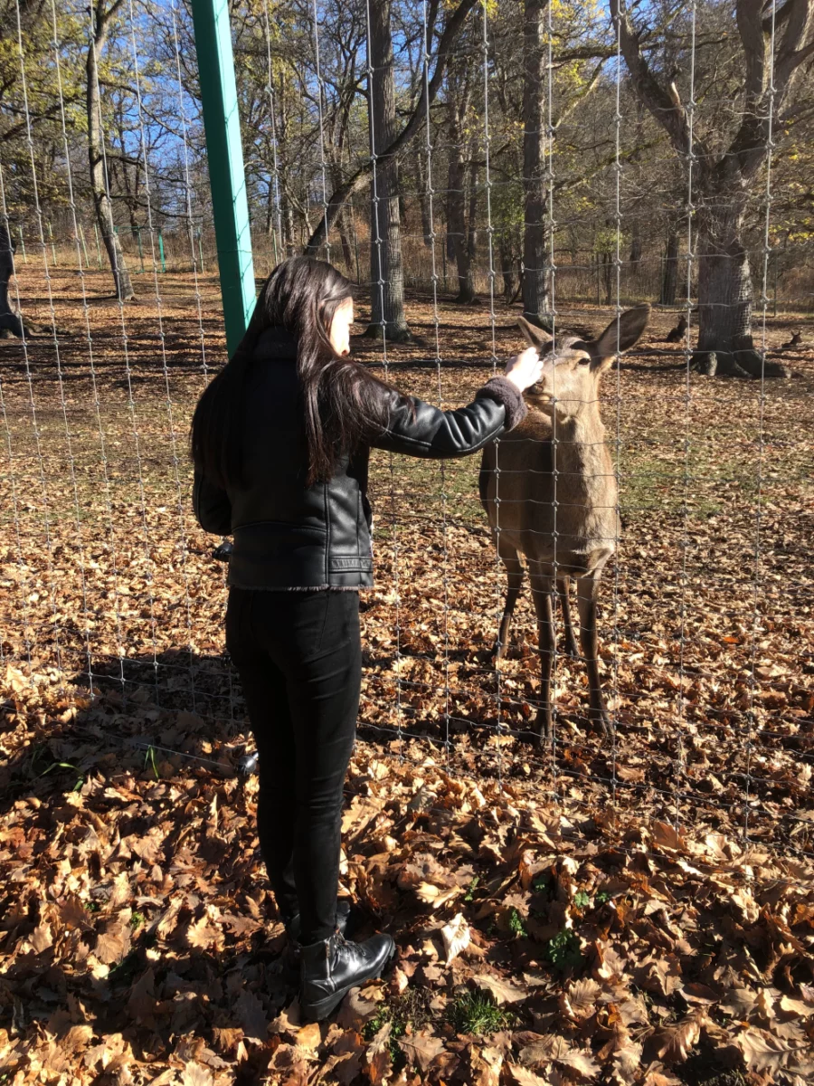 National park dilijan 2