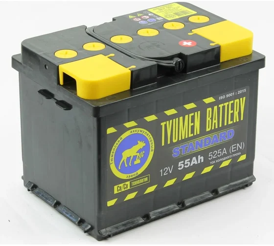 Аккумуляторная батарея tyumen battery тюмень standard 6ст 55