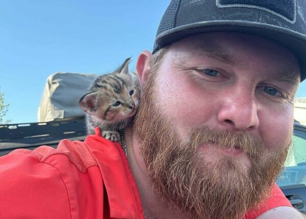 22 кота и собаки, которые не знали, что такое дом. Теперь знают