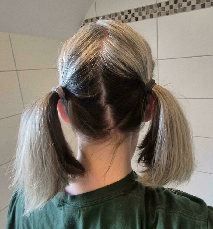 Затылок с двумя хвостиками и ровным пробором