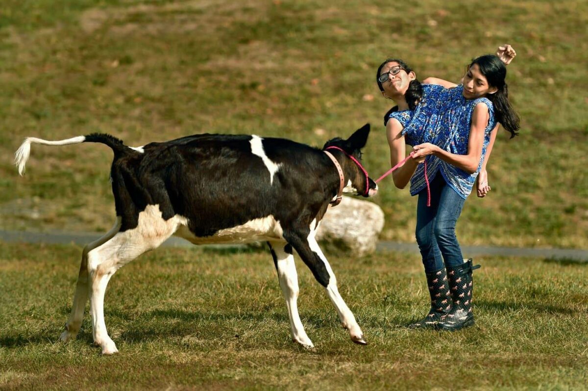 Кармен и Лупита Андраде на прогулке