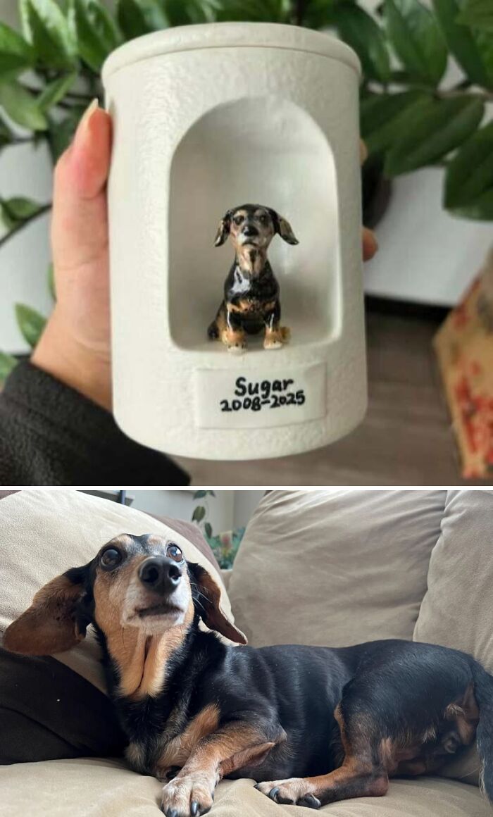 Памятная урна с фигуркой таксы и датами жизни собаки